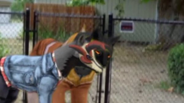 Топ 5 страшилок WildCraft