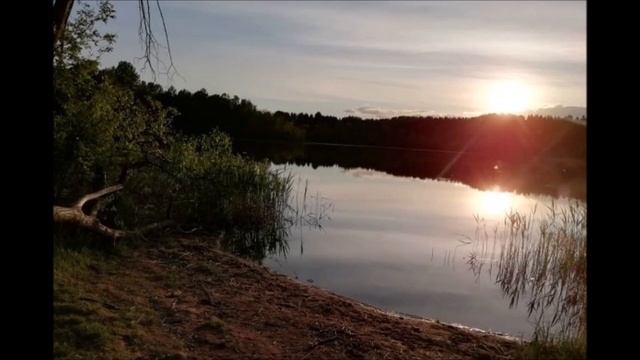 СЕРДЦЕ ВЕРОЙ ХРИСТОС НАПОЛНЯЕТ - читает автор Татьяна Гопина - Лобанова смотреть онлайн