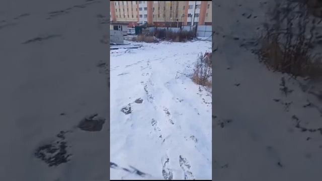 Кладка вентшахты 3, завершение планировки грунта, демонтаж опалубки. смотреть онлайн