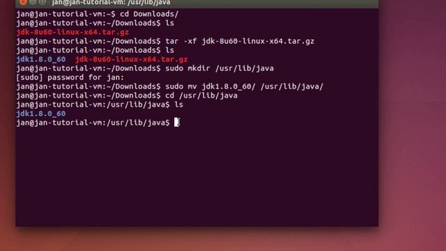 Java 8 JDK installation unter Linux [German] смотреть онлайн