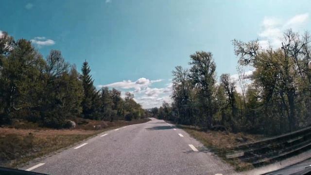 VAN LIFE - Real Full Time Living In My Van #20 - Emptying Toilet, Water Refill, Wildlife #vanlife ?