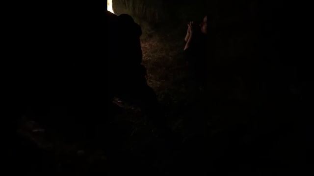 Жжём траву, долбим дупло смотреть онлайн