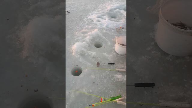 26 января 2024 г. смотреть онлайн