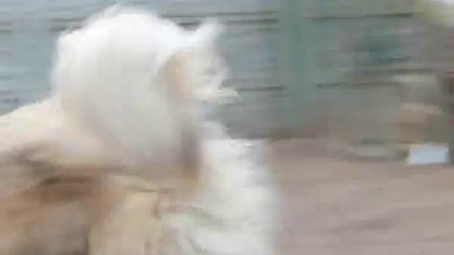 забери меня домой 6 14 12 16 смотреть онлайн