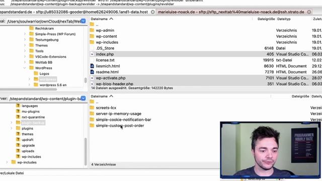 Fehlersuche für WordPress in 3 Schritten | Fatal error beheben wenn man nichtmal ins Backend komm смотреть онлайн