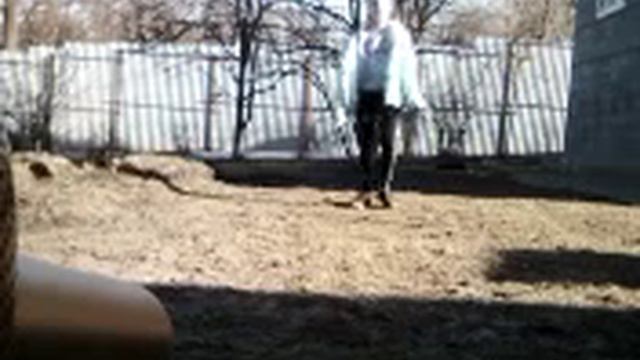 Песня Максим Трудный возраст минусовка смотреть онлайн