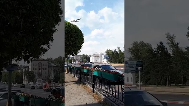 А это где? В Караганде! Где, где! В Караганде! (Вертикальное видео) смотреть онлайн