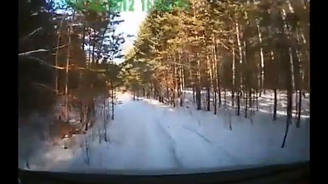 Honda Mobilio и дорога в зимнем Тюменском лесу 2012г смотреть онлайн
