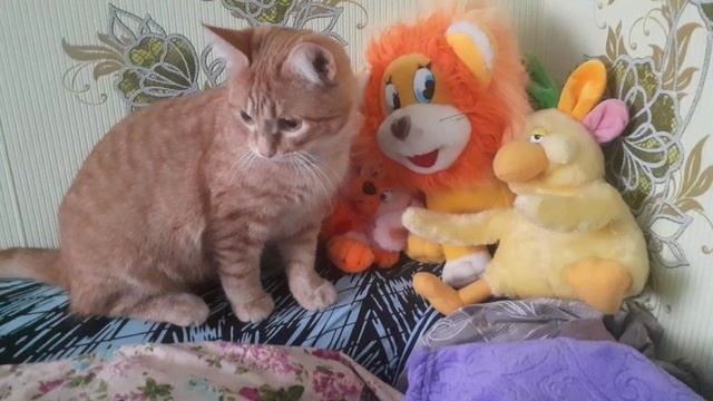 Маленький котя ))) смотреть онлайн