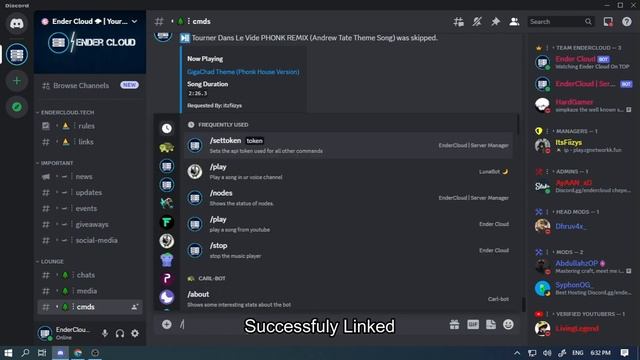 How to link panel to discord | EnderCloud смотреть онлайн