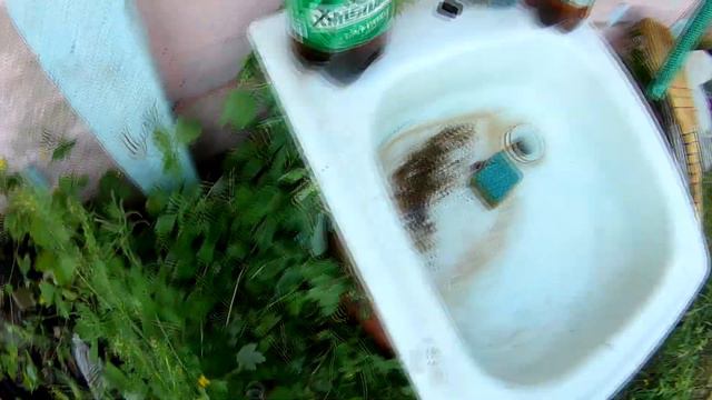 ПЕРВАЯ ПРОГУЛКА ДЛЯ ПОРОСЕНКА!!! ( реакция собаки на новых соседий ) смотреть онлайн