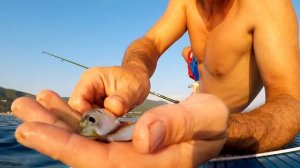 Рыбалка на Черном море. Купаемся и ловим ставриду на САПе