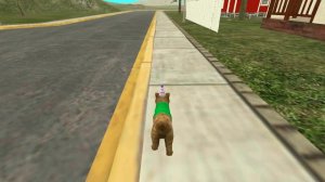 CAT SIM - КЭТ СИМ СИМУЛЯТОР КОШЕК🐱🐈🐱!КАК ИГРАТЬ?