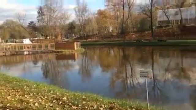 Хитрые грибы смотреть онлайн