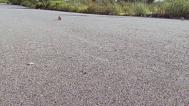 first run in so many years Honda NSR 500 (1989) смотреть онлайн
