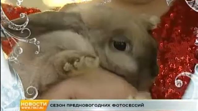 Где провести новогоднюю семейную фотосессию и зарядиться праздником смотреть онлайн