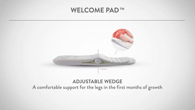 Inglesina Trilogy System QUATTRO - Welcome Pad смотреть онлайн
