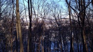 Кунцевское городище зимой