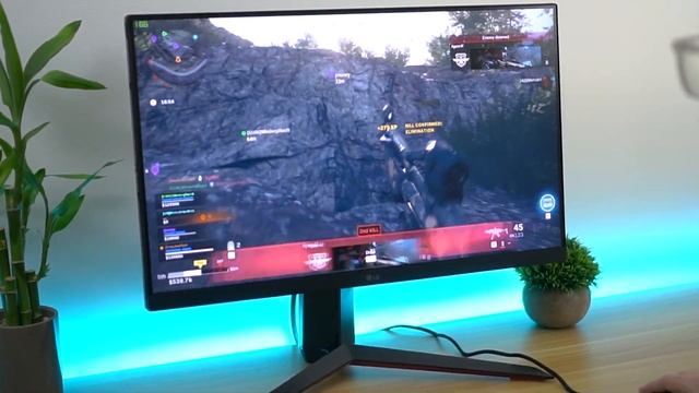 Top 5 Budget Gaming Monitors смотреть онлайн