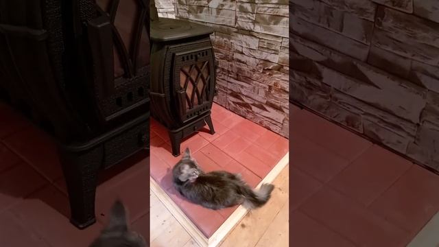 печь бахта и Лола. первый протоп. смотреть онлайн