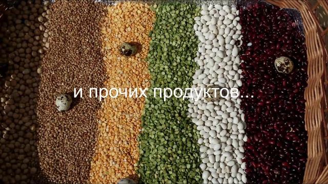 Чем заняться с ребенком на море смотреть онлайн