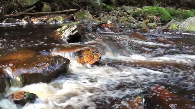 Расслабляющий Звук Воды - 1 Час Звуков Природы для Медитации. Река с торфяной водой. смотреть онлайн