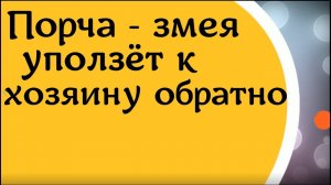 Порча - змея уползёт к хозяину обратно
