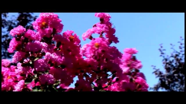 Саидкул Билолов -Точикистон / Saidqul Bilolov - Tojikiston