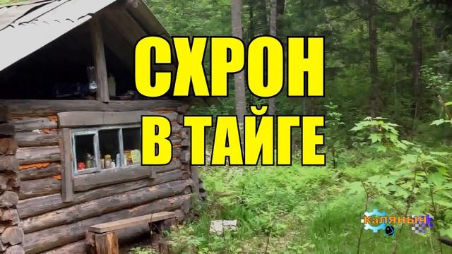 СХРОН И МЕДВЕДЬ | ЖИЗНЬ В ТАЙГЕ смотреть онлайн