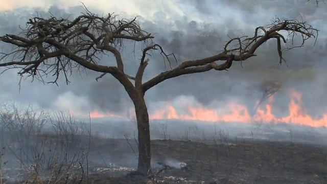 ЧЕРНЫЕ КРЫЛЬЯ | Глава 3-4 | Страшная история на ночь | Черный Рик смотреть онлайн