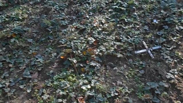 Как поймать крота. Кротоловка. Как избавиться от кротов.Кроты на участке. Кротобой. Видео № 5. смотреть онлайн