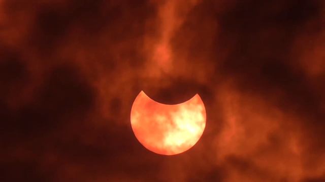 Solar Eclipse Novosibirsk. Солнечное затмение Новосибирск. 10.06.2021 смотреть онлайн