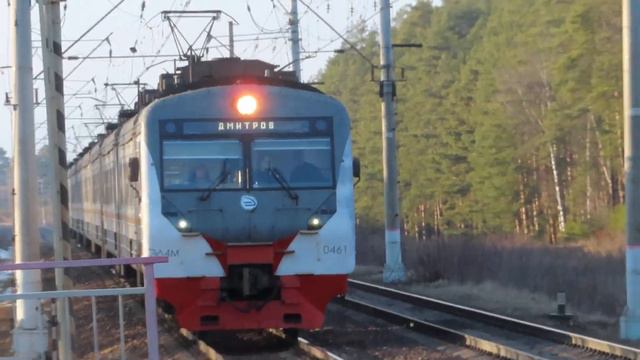 Электропоезд ЭД4М-0461 ЦППК платформа Полушкино 22.02.2020 смотреть онлайн