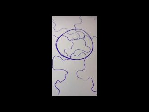 Вебинар на тему "Нейрографика" - 28.02.22 г.