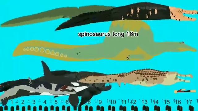 sea carnivore comparison size | stick nodes смотреть онлайн