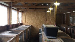 Помещение для кроликов