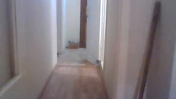 Спиноцеребеллярная атаксия с атрофией зрительных нервов.