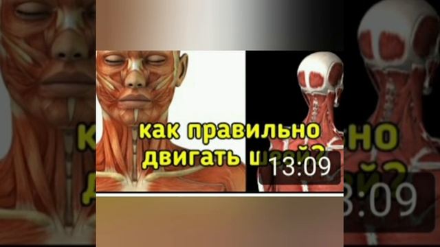Вредные движения для шеи и поясницы. Почему важно избегать их? смотреть онлайн