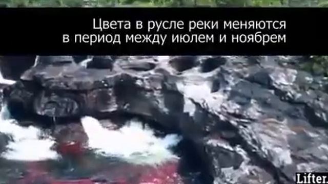 КРАСИВЫЙ АЗАН смотреть онлайн