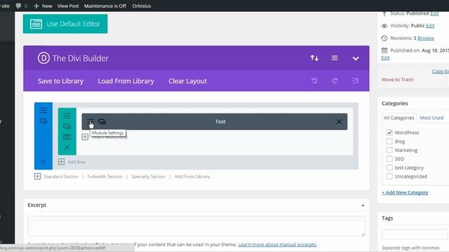 Updating WordPress website content using Divi Builder смотреть онлайн