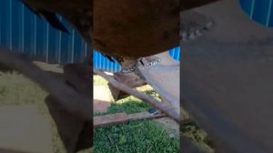 Ямобур для посадки саженцев