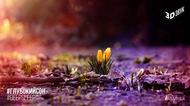 ASMR – #DeepSleep. Let's Talk About Spring [male Whispering In Russian] #85