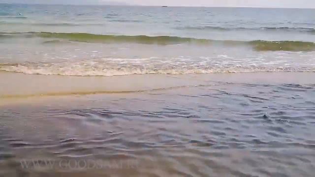 Чёрная жижа с ужасной вонью 21 августа 2016 год смотреть онлайн
