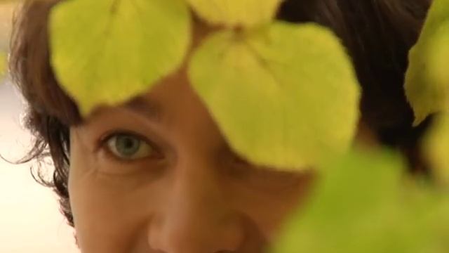 поезія Вінграновського_Сніданок з 1+1