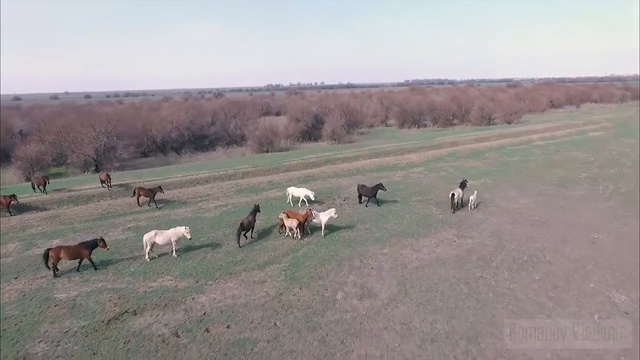 Коп в Астраханских степях. смотреть онлайн