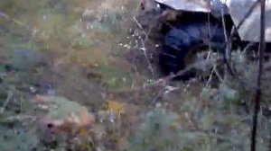 самодельный болотоход-пневмоход Васюганец,преодоление  препятствий