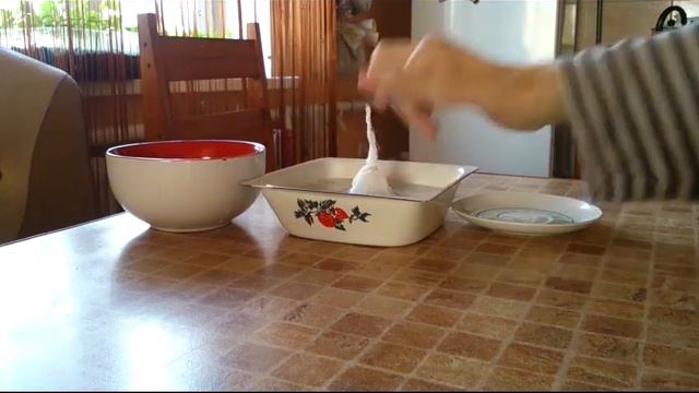 Посадка Белой акации семенами.