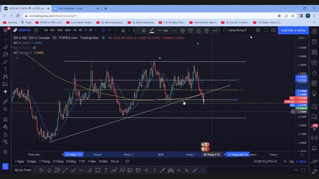 Zoom Meeting 2022 03 26 14 05 55 смотреть онлайн