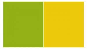 Count To 100 | Counting to 100 song | Tiny Tunes