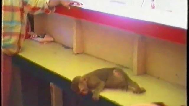 Pattaya 1987 Second Road